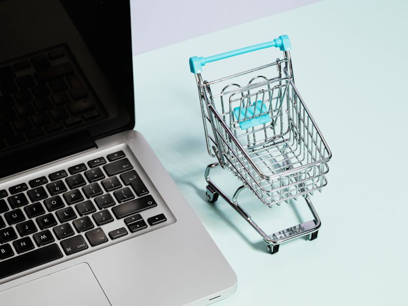 分析とレポート